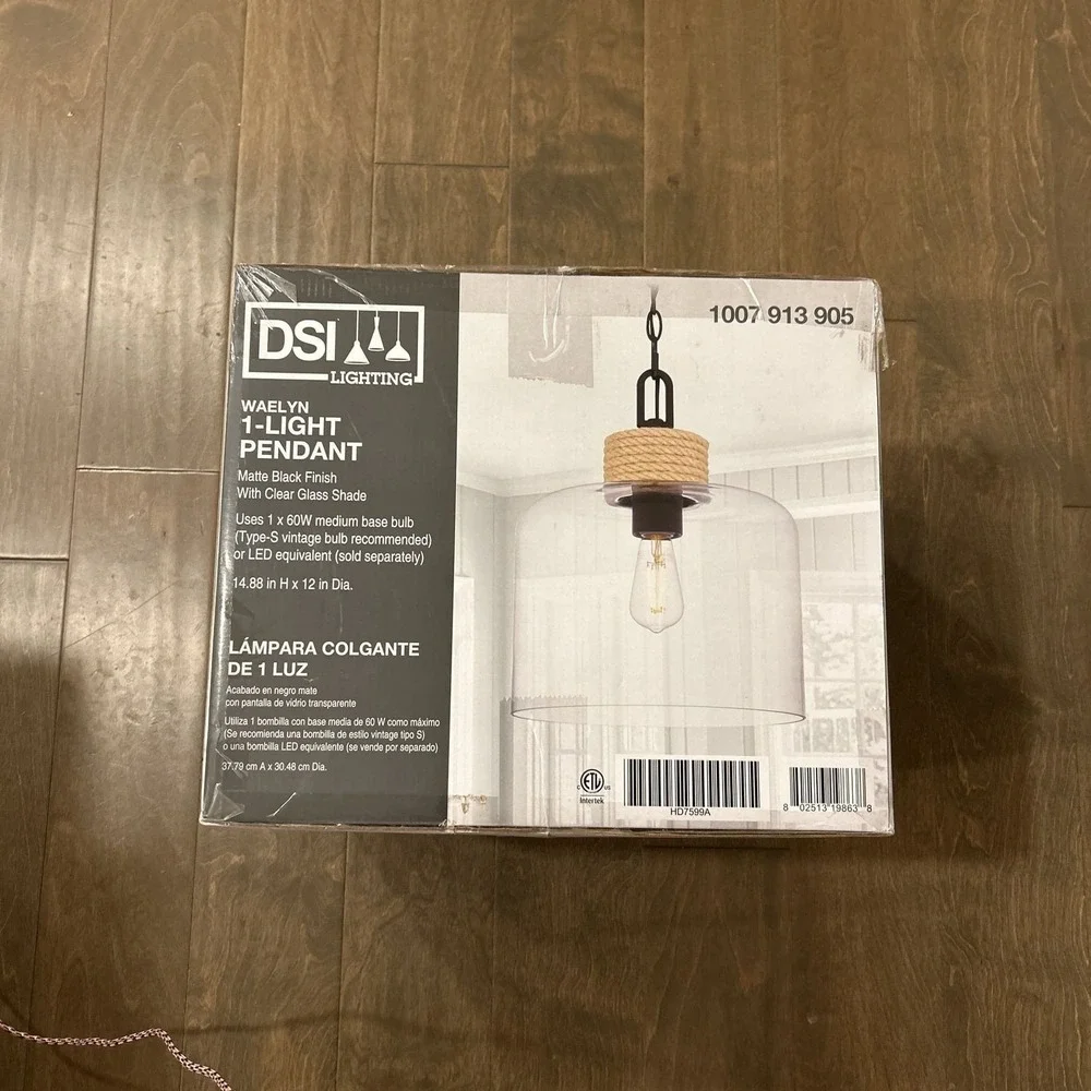 DSI Waelyn 1‑Light Pendant Matte Black with Clear Glass Shade — New